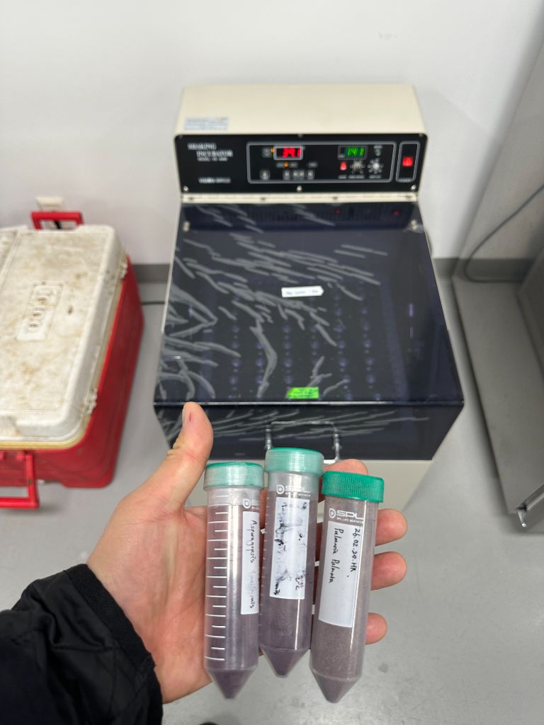 Seaweed extract samples